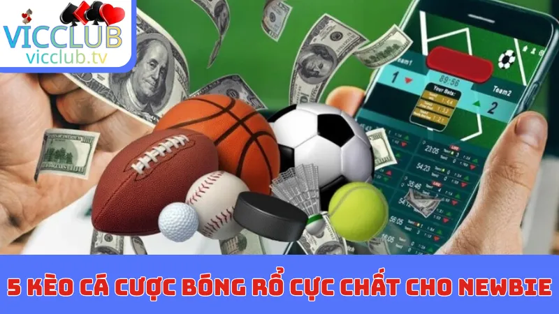 5 kèo cá cược bóng rổ cực chất cho newbie