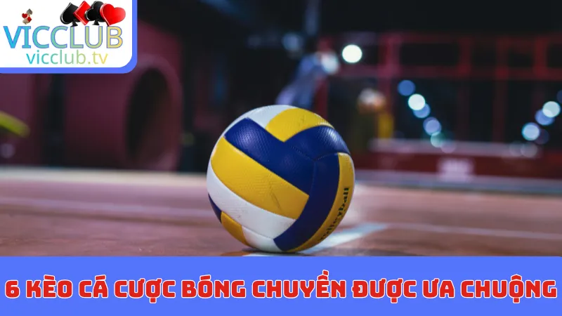 6 kèo cá cược bóng chuyền được ưa chuộng