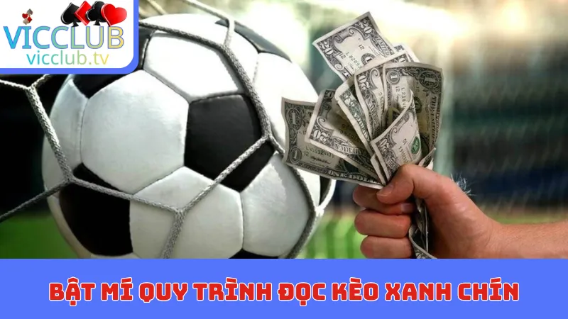 Bật mí quy trình đọc kèo xanh chín như cao thủ