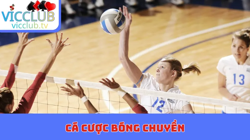 ca cuoc bong chuyen bia