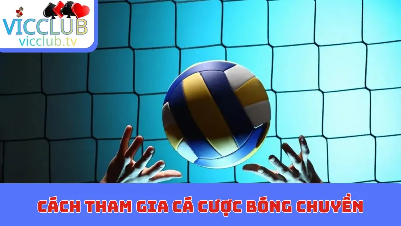 Cách tham gia cá cược bóng chuyền xanh chín