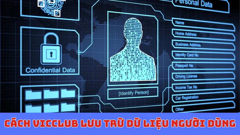 Cách Vicclub lưu trữ dữ liệu người dùng