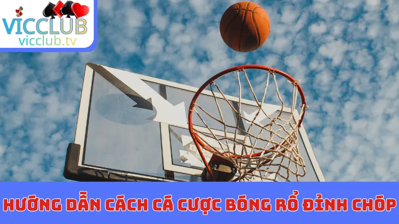 Hướng dẫn cách cá cược bóng rổ đỉnh chóp