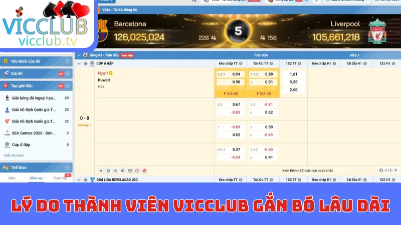 Lý do thành viên Vicclub gắn bó lâu dài