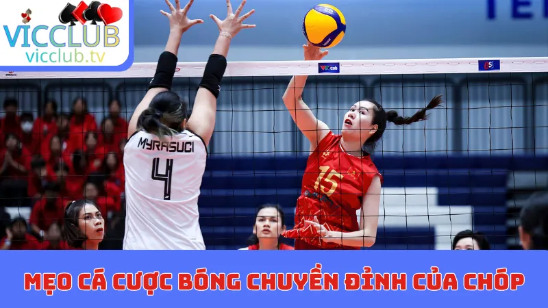 Mẹo cá cược bóng chuyền đỉnh của chóp cho newbie
