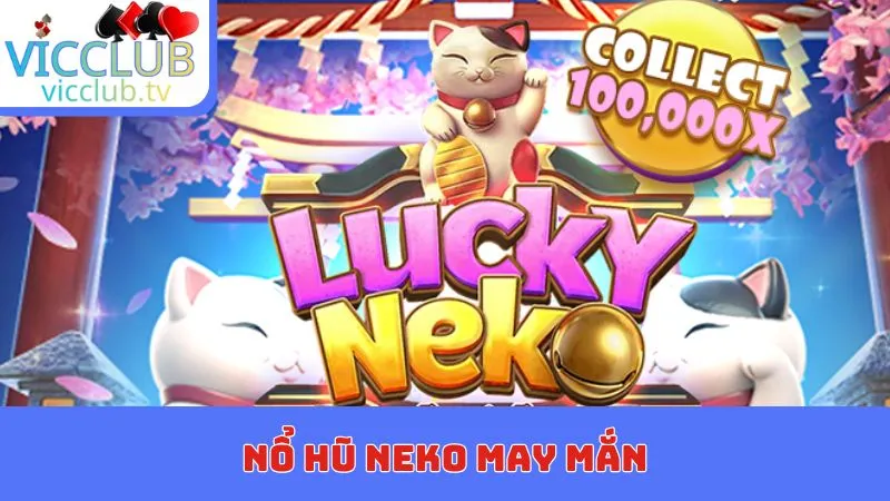 no hu neko may man bia